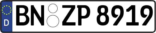 BN-ZP8919