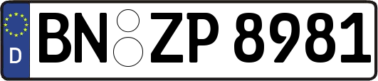 BN-ZP8981