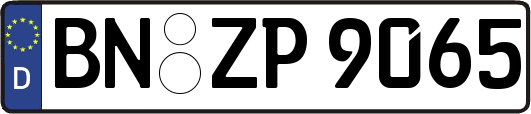 BN-ZP9065