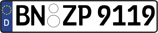 BN-ZP9119