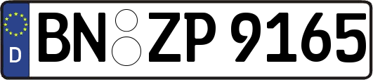 BN-ZP9165