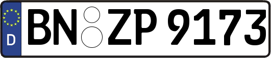 BN-ZP9173