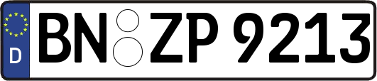 BN-ZP9213