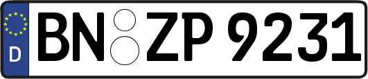 BN-ZP9231