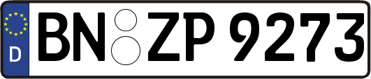 BN-ZP9273