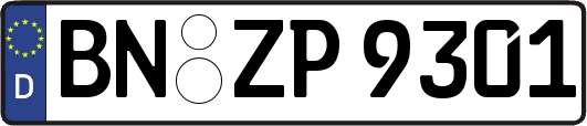 BN-ZP9301