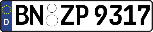 BN-ZP9317