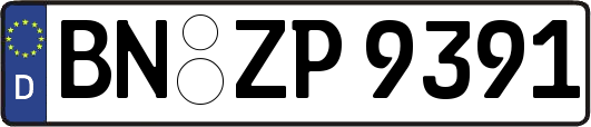 BN-ZP9391