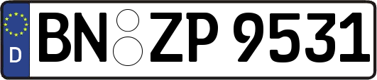 BN-ZP9531