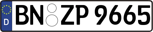 BN-ZP9665
