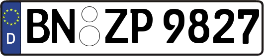 BN-ZP9827