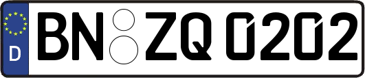 BN-ZQ0202