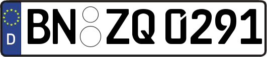 BN-ZQ0291
