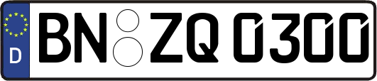 BN-ZQ0300