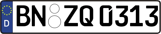 BN-ZQ0313