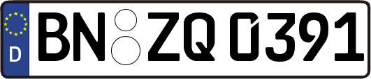 BN-ZQ0391