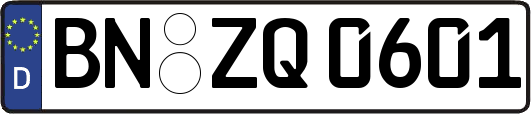 BN-ZQ0601