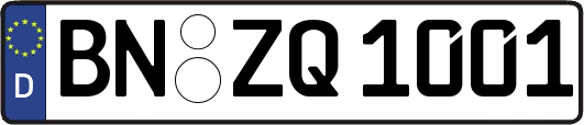 BN-ZQ1001