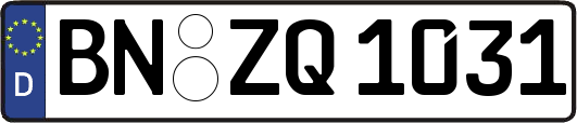 BN-ZQ1031