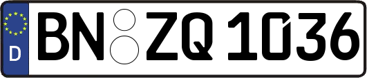 BN-ZQ1036