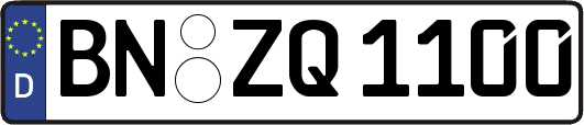 BN-ZQ1100