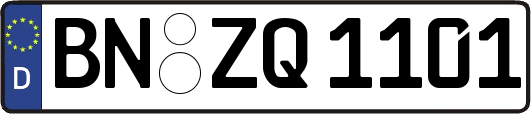 BN-ZQ1101