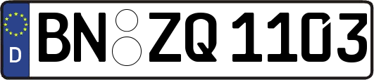 BN-ZQ1103