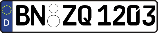 BN-ZQ1203