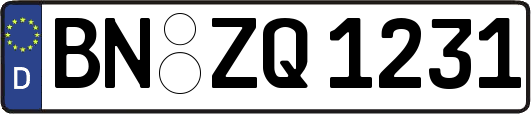 BN-ZQ1231