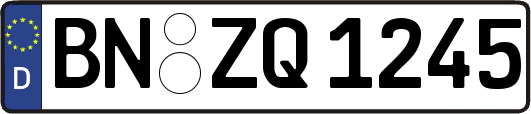 BN-ZQ1245