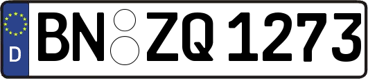 BN-ZQ1273