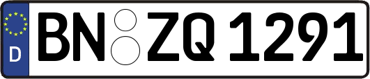 BN-ZQ1291