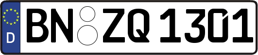 BN-ZQ1301
