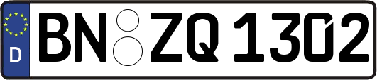 BN-ZQ1302