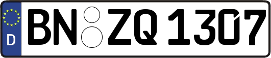 BN-ZQ1307
