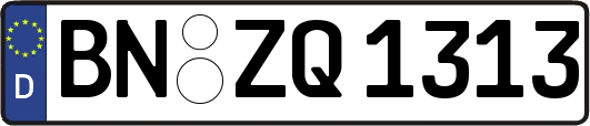 BN-ZQ1313