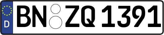 BN-ZQ1391