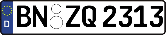 BN-ZQ2313
