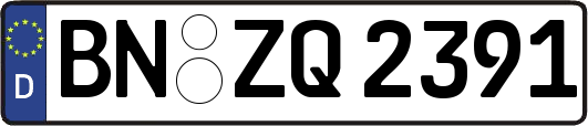 BN-ZQ2391