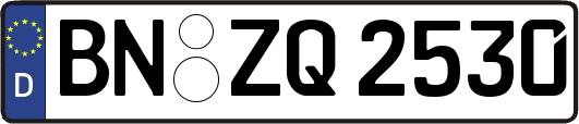 BN-ZQ2530