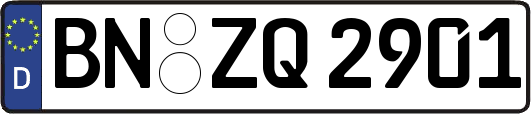 BN-ZQ2901
