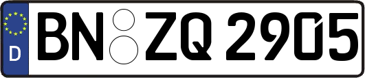 BN-ZQ2905