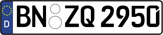 BN-ZQ2950