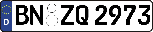 BN-ZQ2973