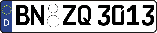 BN-ZQ3013