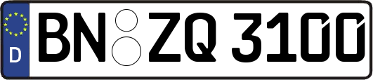 BN-ZQ3100
