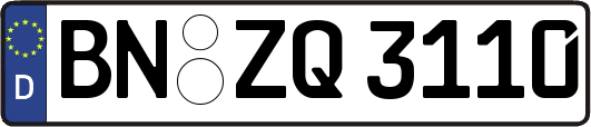 BN-ZQ3110