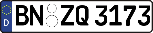 BN-ZQ3173