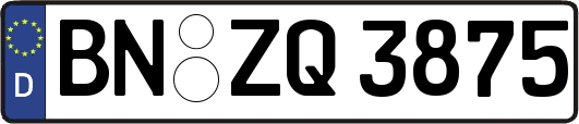 BN-ZQ3875