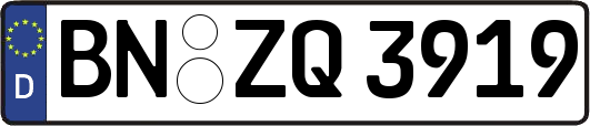 BN-ZQ3919